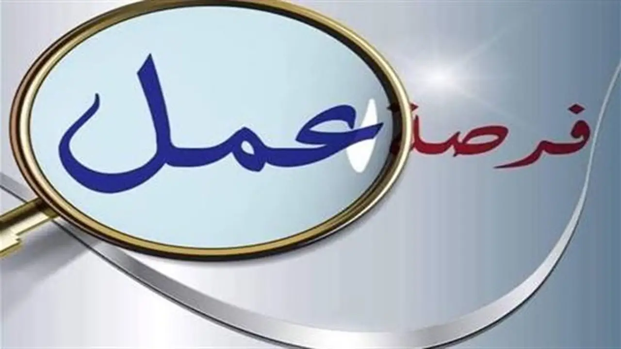 فرص عمل جديدة للشباب في قطاع تصنيع البلاستيك والألياف