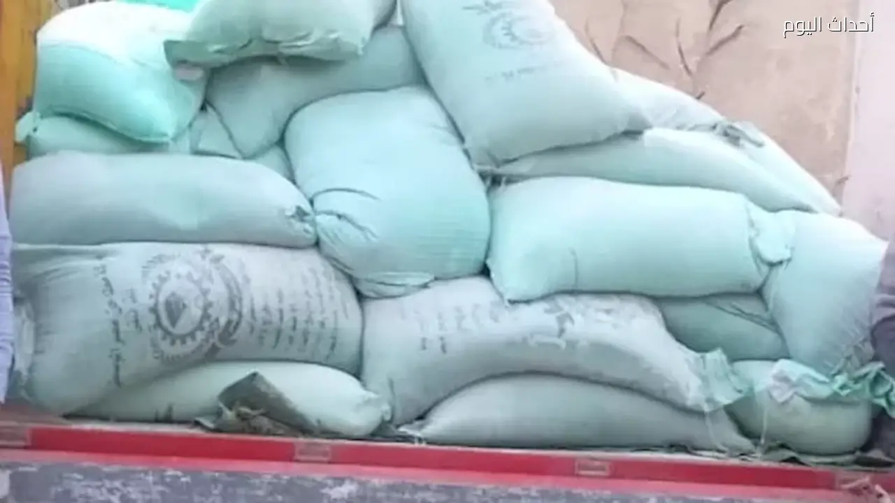ضبط 1.3 طن دقيق فاسد يحتوي على سوس وحشرات في الإسكندرية