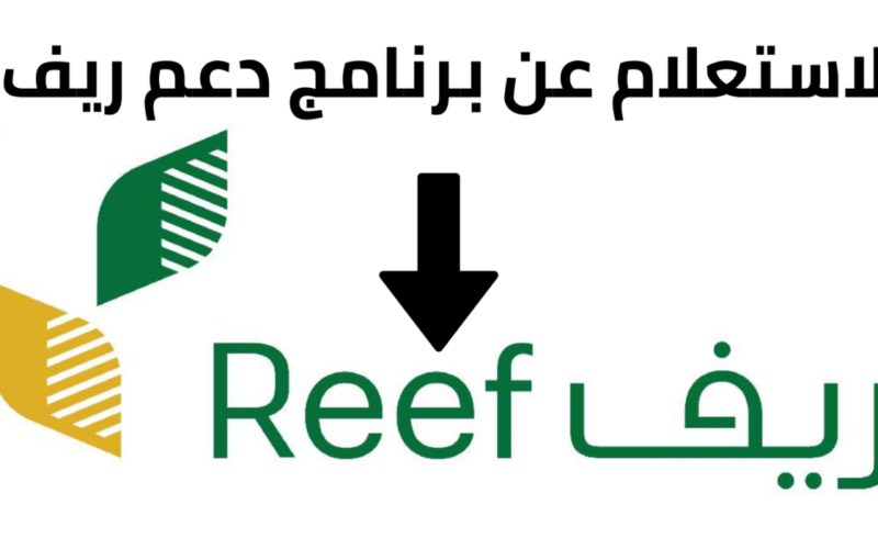 “لصغار المزارعين بالمملكة” كيفية الاستعلام عن دعم ريف 1446 عبر الموقع الرسمي reef.gov.sa والشروط