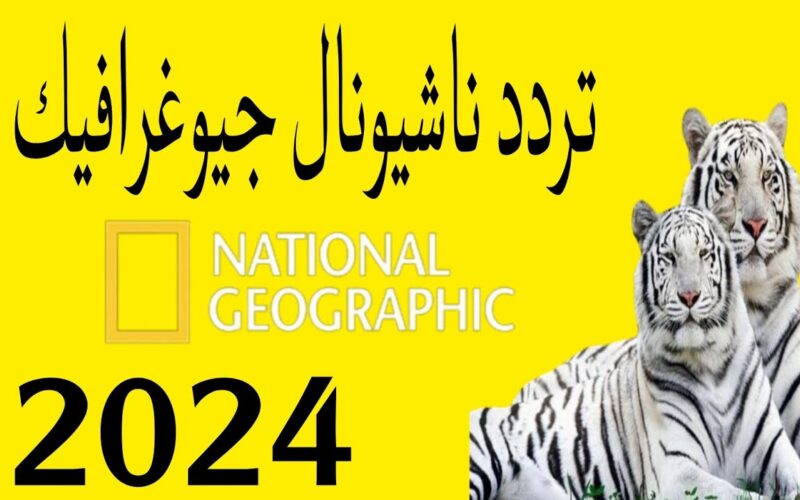 “أكتشف عالم الحيوانات” تردد قناة ناشيونال جيوغرافيك نايل سات 2024 وخطوات تثبيت القناة علي جهاز الإستقبال