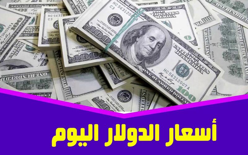 ” الورقة الخضراء طارت” سعر الدولار اليوم في السوق السوداء والبنوك المصرية الثلاثاء 19 نوفمبر 2024