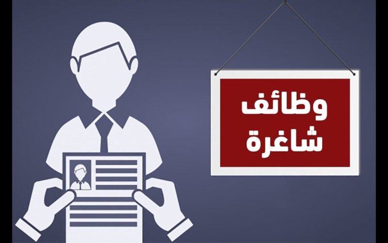 رابط التقديم في وظائف وزارة التضامن الإجتماعي 2024 ….. والشروط المطلوبة