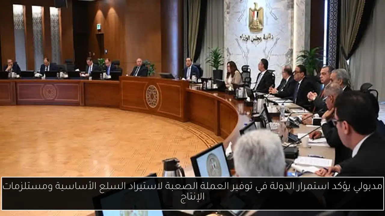 مدبولي يؤكد استمرار الدولة في توفير العملة الصعبة لاستيراد السلع الأساسية ومستلزمات الإنتاج