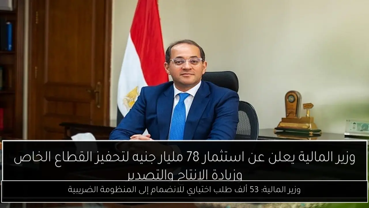 وزير المالية: 53 ألف طلب اختياري للانضمام إلى المنظومة الضريبية