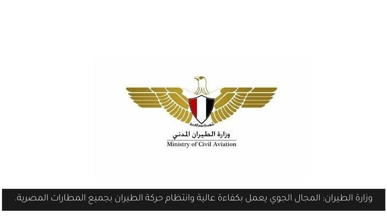 وزارة الطيران: المجال الجوي يعمل بكفاءة عالية وانتظام حركة الطيران بجميع المطارات المصرية.