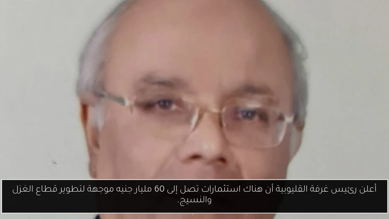 أعلن رئيس غرفة القليوبية أن هناك استثمارات تصل إلى 60 مليار جنيه موجهة لتطوير قطاع الغزل والنسيج.