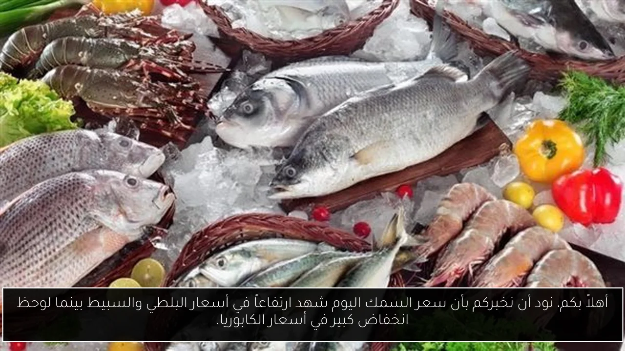 أهلاً بكم، نود أن نخبركم بأن سعر السمك اليوم شهد ارتفاعاً في أسعار البلطي والسبيط بينما لوحظ انخفاض كبير في أسعار الكابوريا.