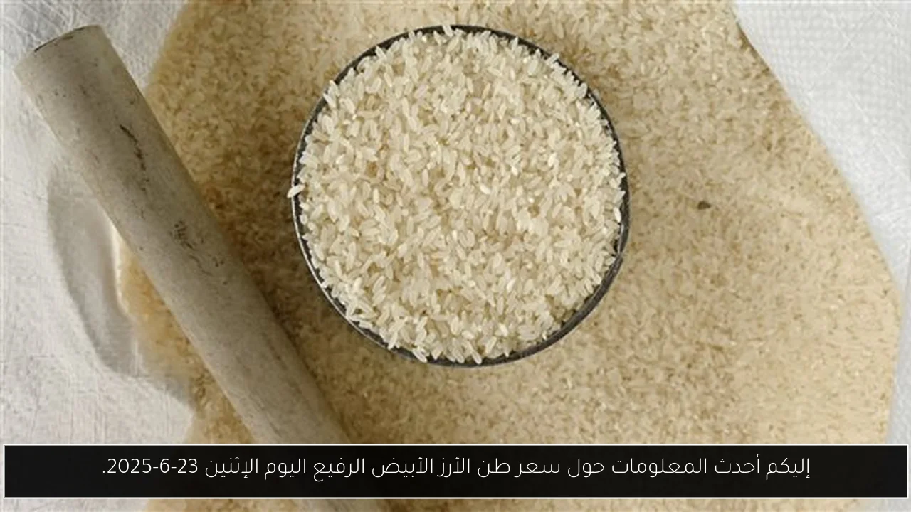 إليكم أحدث المعلومات حول سعر طن الأرز الأبيض الرفيع اليوم الإثنين 23-6-2025.
