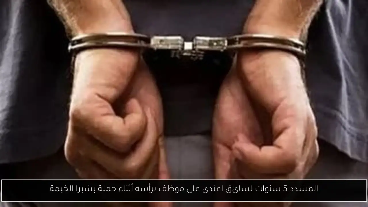 المشدد 5 سنوات لسائق اعتدى على موظف برأسه أثناء حملة بشبرا الخيمة