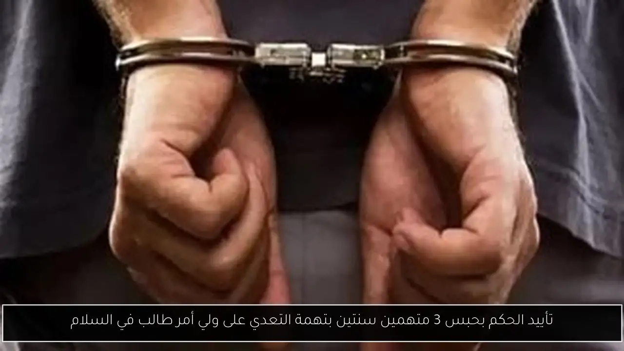 تأييد الحكم بحبس 3 متهمين سنتين بتهمة التعدي على ولي أمر طالب في السلام