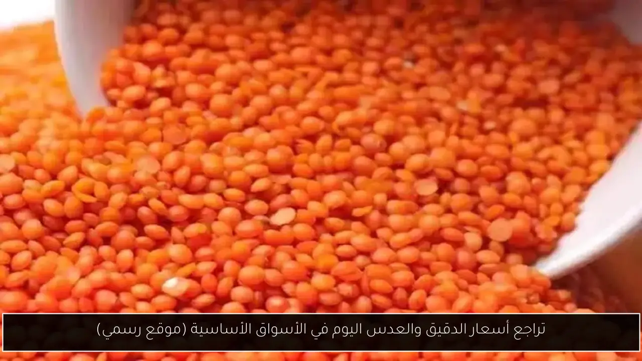 تراجع أسعار الدقيق والعدس اليوم في الأسواق الأساسية (موقع رسمي)
