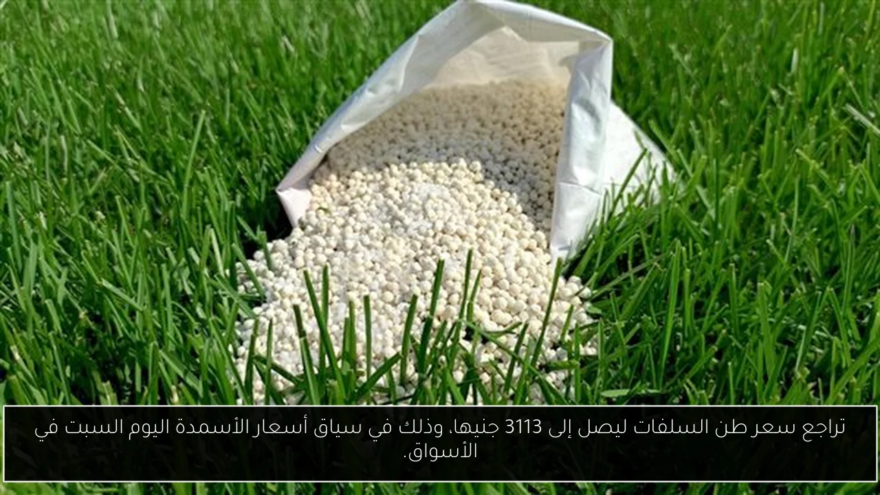 تراجع سعر طن السلفات ليصل إلى 3113 جنيها، وذلك في سياق أسعار الأسمدة اليوم السبت في الأسواق.