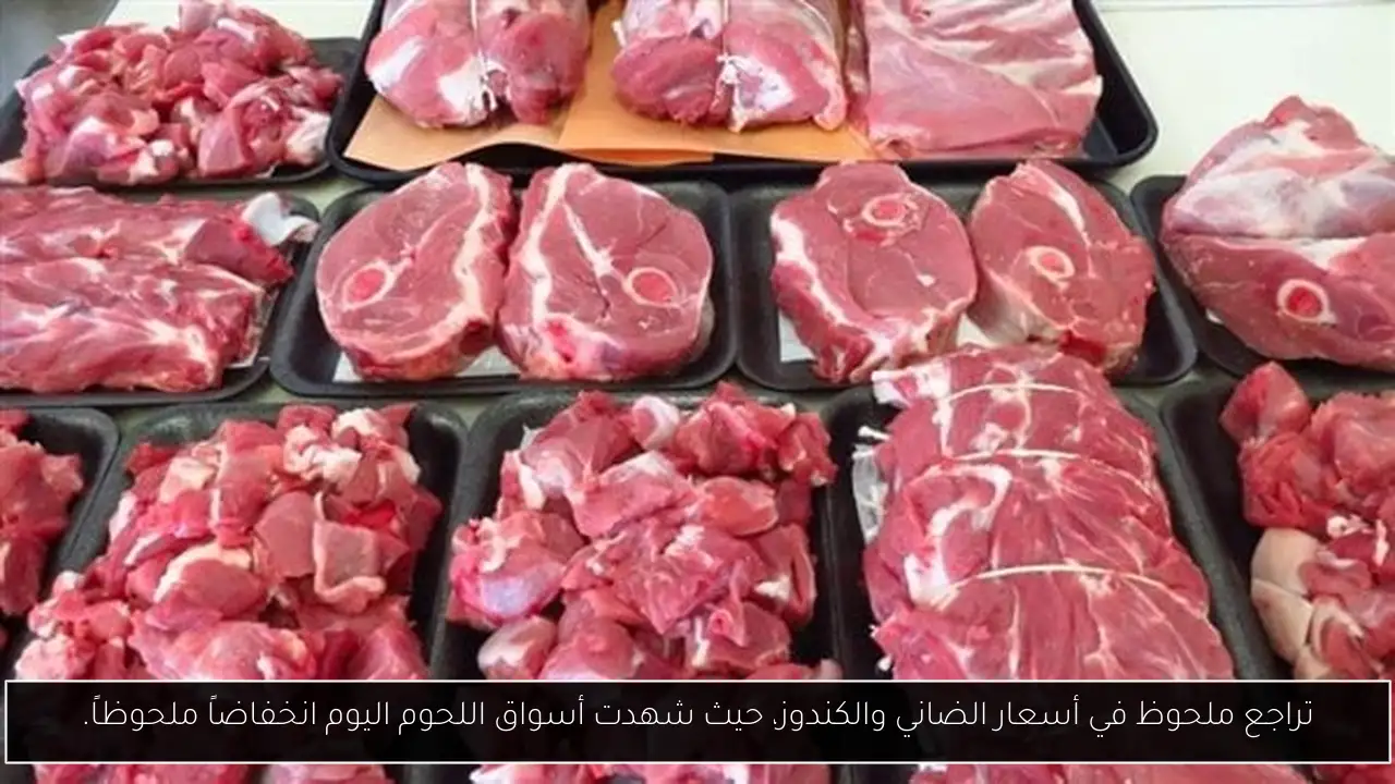 تراجع ملحوظ في أسعار الضاني والكندوز، حيث شهدت أسواق اللحوم اليوم انخفاضاً ملحوظاً.