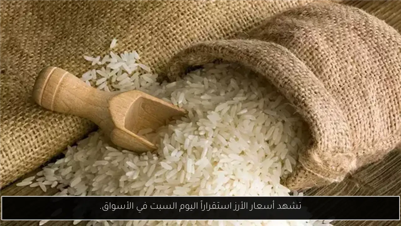 تشهد أسعار الأرز استقراراً اليوم السبت في الأسواق.