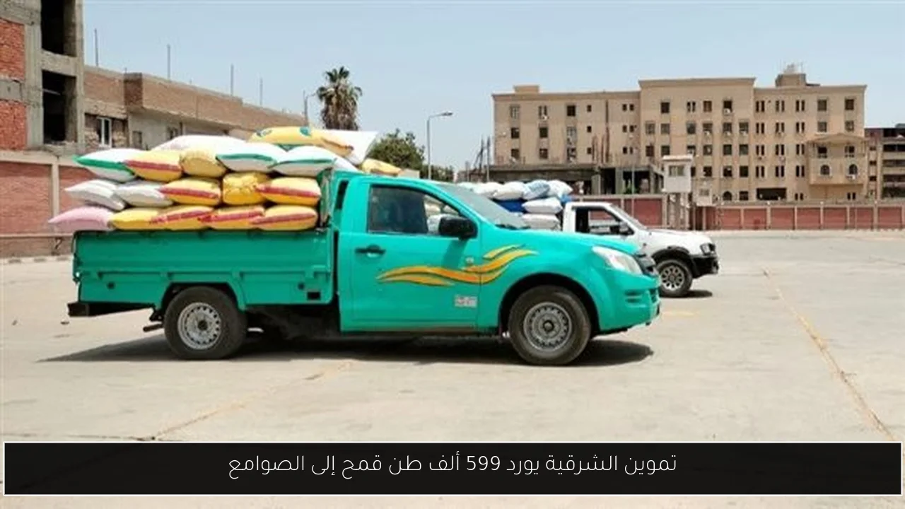 تموين الشرقية يورد 599 ألف طن قمح إلى الصوامع