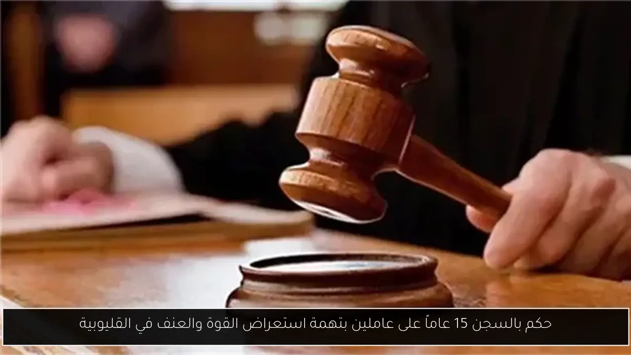 حكم بالسجن 15 عاماً على عاملين بتهمة استعراض القوة والعنف في القليوبية