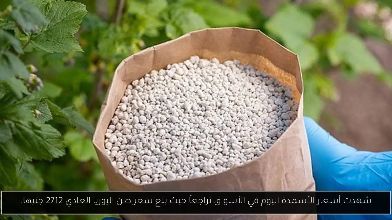 شهدت أسعار الأسمدة اليوم في الأسواق تراجعاً حيث بلغ سعر طن اليوريا العادي 2712 جنيها.