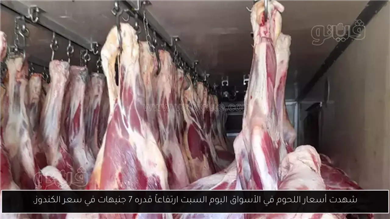 شهدت أسعار اللحوم في الأسواق اليوم السبت ارتفاعاً قدره 7 جنيهات في سعر الكندوز.