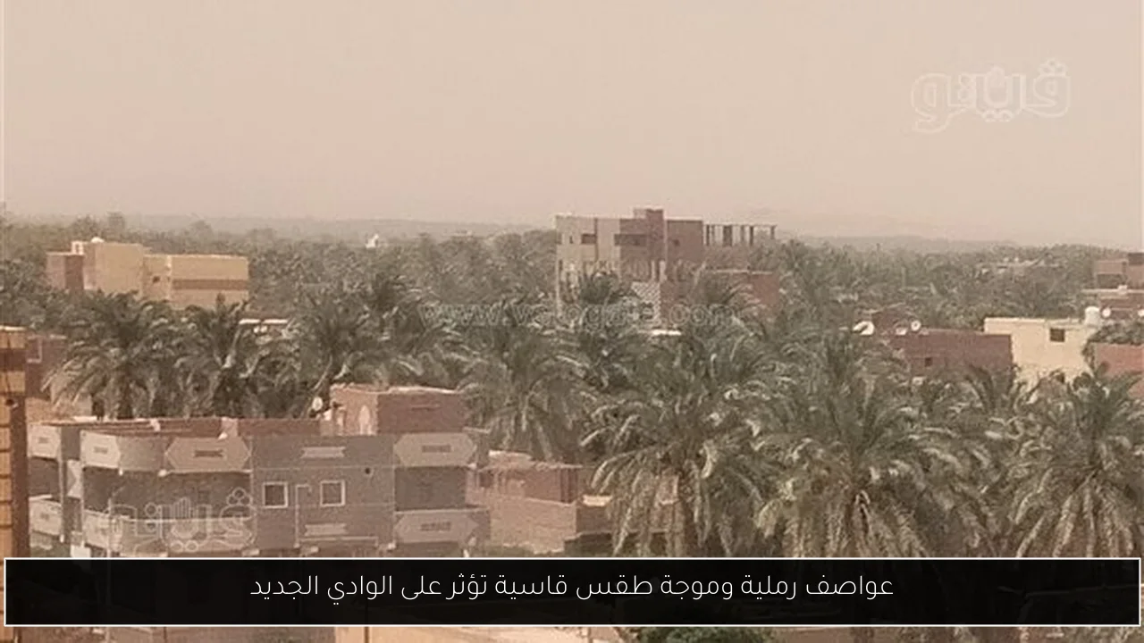 عواصف رملية وموجة طقس قاسية تؤثر على الوادي الجديد