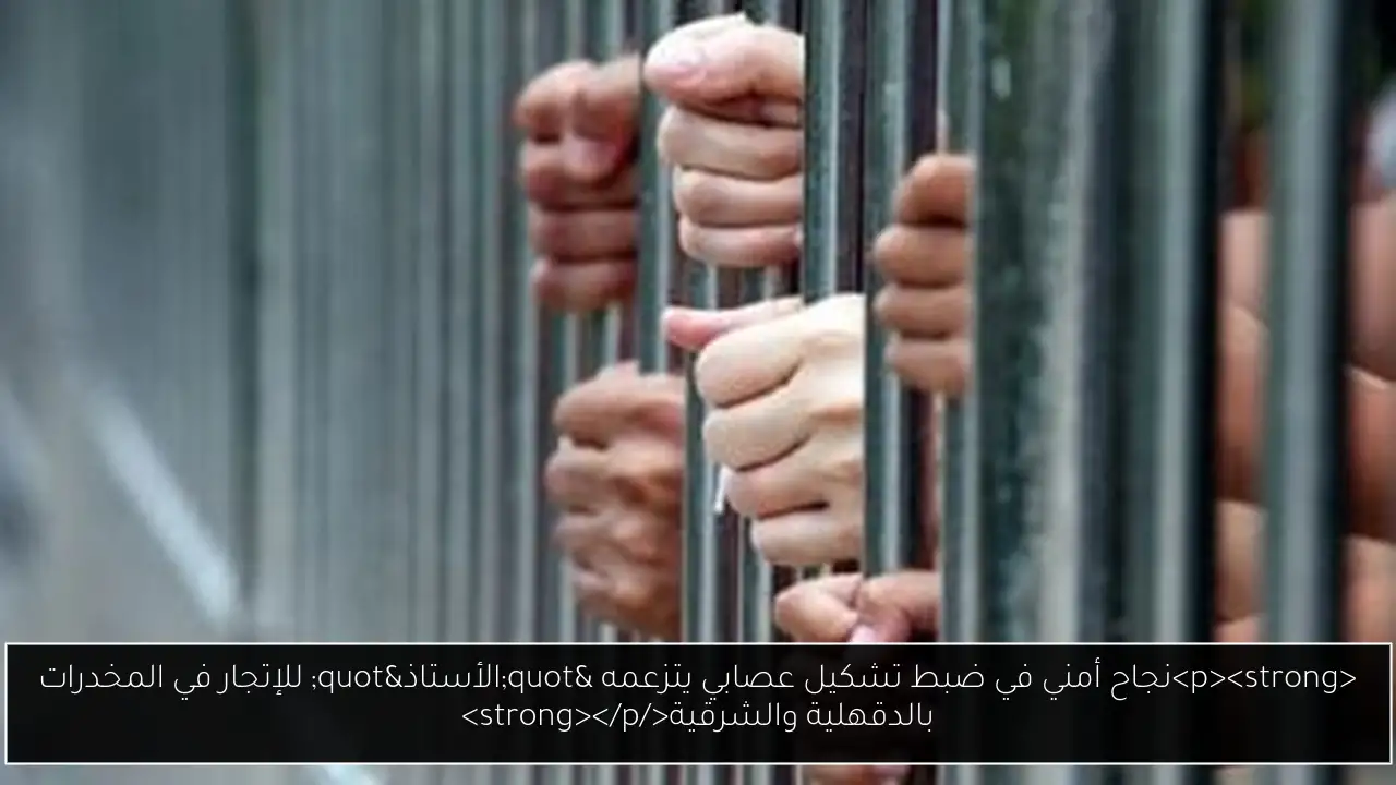 <p><strong>نجاح أمني في ضبط تشكيل عصابي يتزعمه "الأستاذ" للإتجار في المخدرات بالدقهلية والشرقية</strong></p>