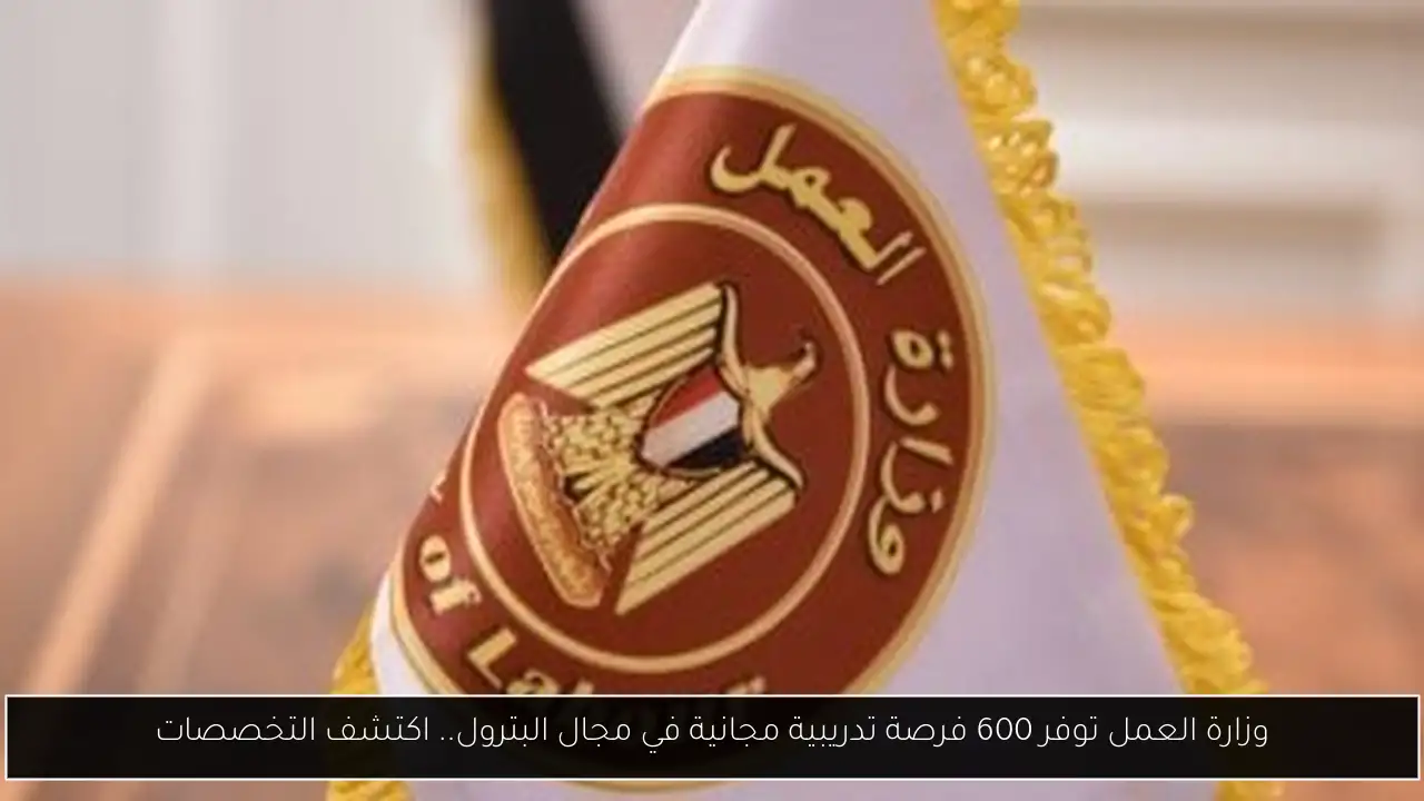 وزارة العمل توفر 600 فرصة تدريبية مجانية في مجال البترول.. اكتشف التخصصات