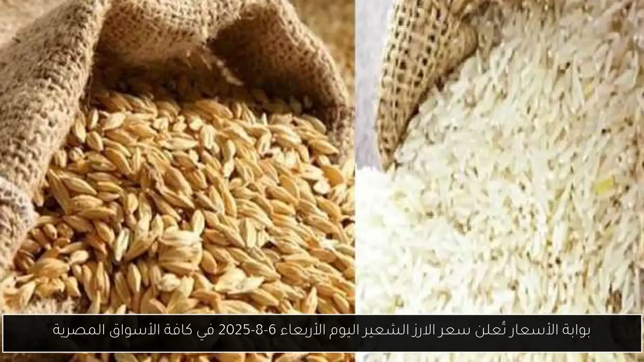 بوابة الأسعار تُعلن سعر الارز الشعير اليوم الأربعاء 6-8-2025 في كافة الأسواق المصرية