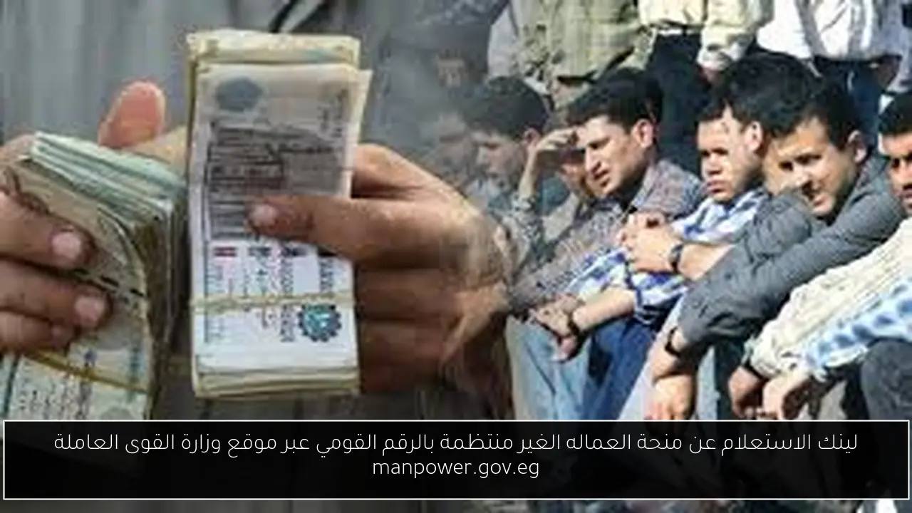 لينك الاستعلام عن منحة العماله الغير منتظمة بالرقم القومي عبر موقع وزارة القوى العاملة manpower.gov.eg