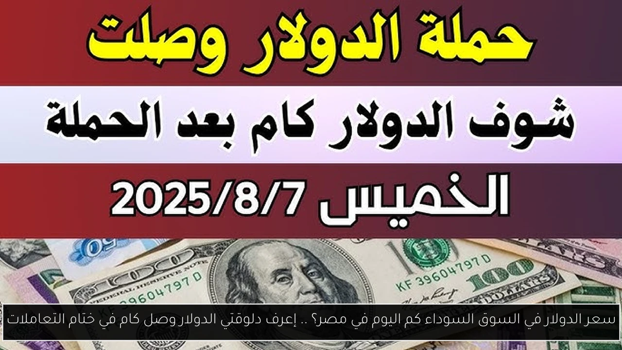 سعر الدولار في السوق السوداء كم اليوم في مصر؟ .. إعرف دلوقتي الدولار وصل كام في ختام التعاملات