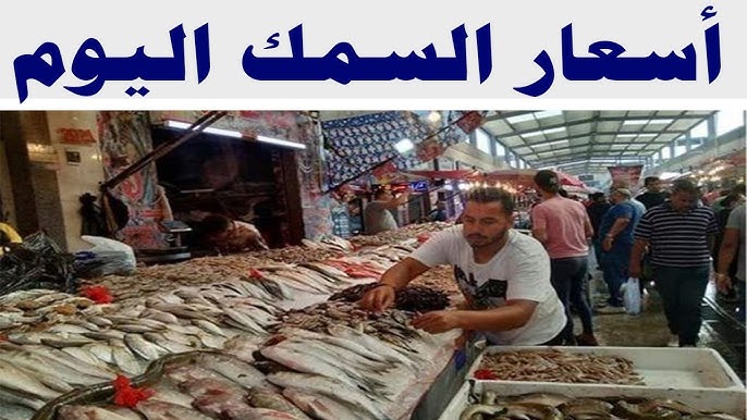 اسعار السمك اليوم السبت 9 أغسطس 2025 في سوق العبور .. البلطي ممتاز من 75 إلى 81 جنيهًا