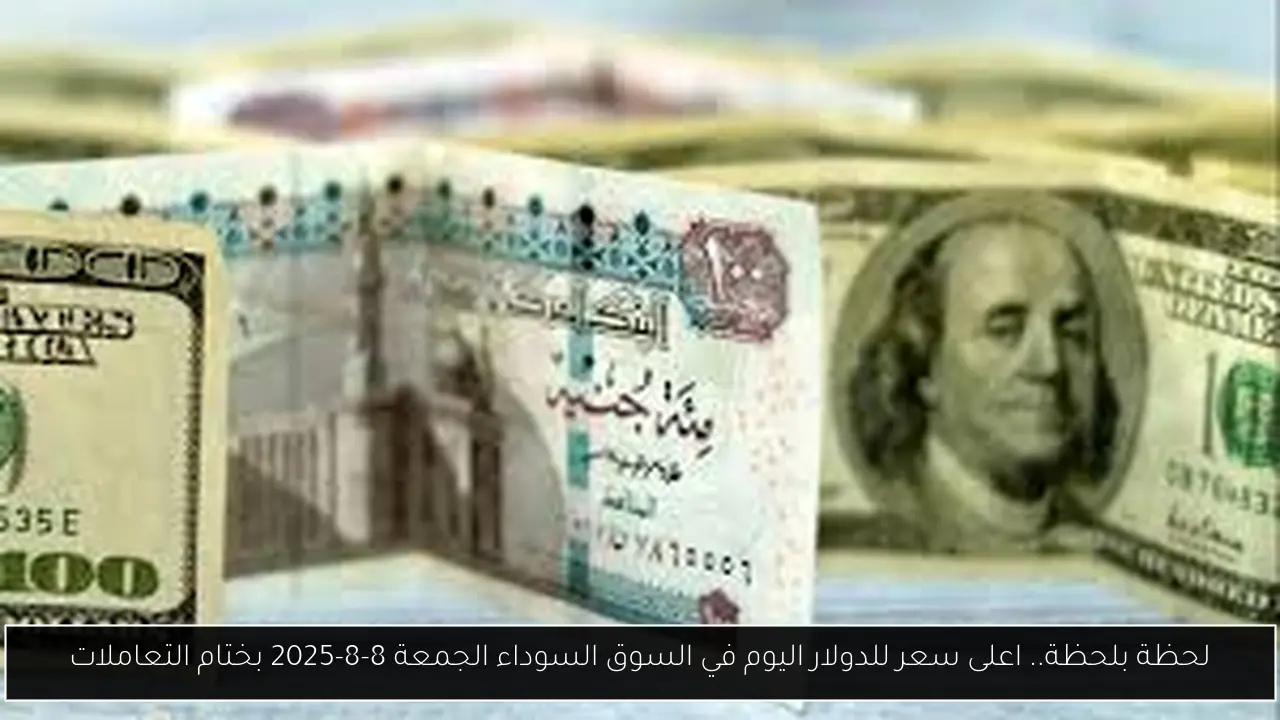 لحظة بلحظة.. اعلى سعر للدولار اليوم في السوق السوداء الجمعة 8-8-2025 بختام التعاملات
