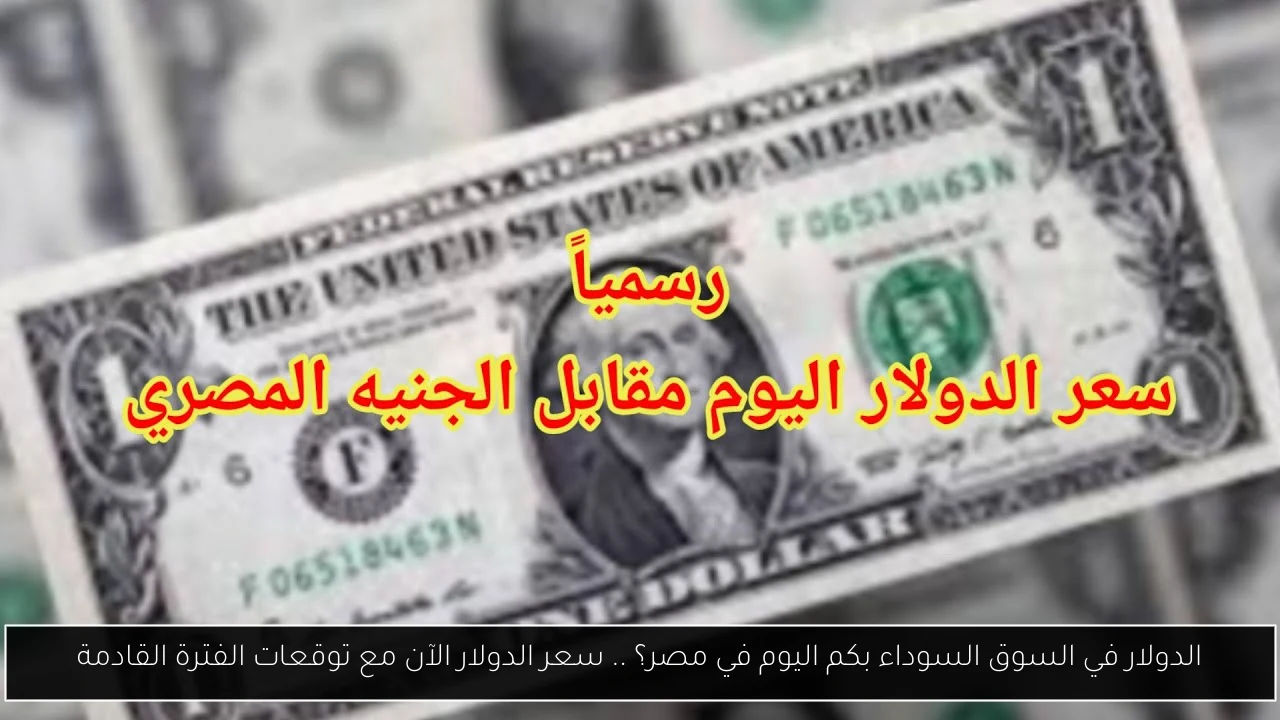 الدولار في السوق السوداء بكم اليوم في مصر؟ .. سعر الدولار الآن مع توقعات الفترة القادمة