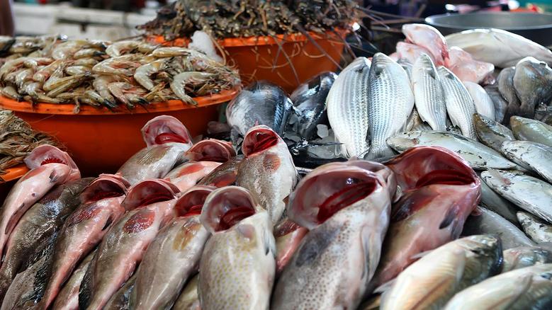كيلو البلطي بكام؟؟ اسعار السمك اليوم الأربعاء 2025/10/22 في سوق العبور