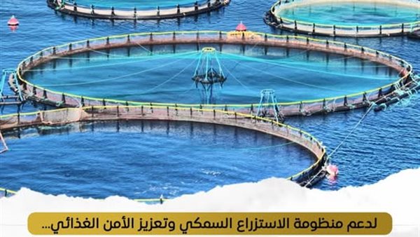 إنتاج 71 طنًا من الأسماك في مزرعتي المنزلة والبرسيق